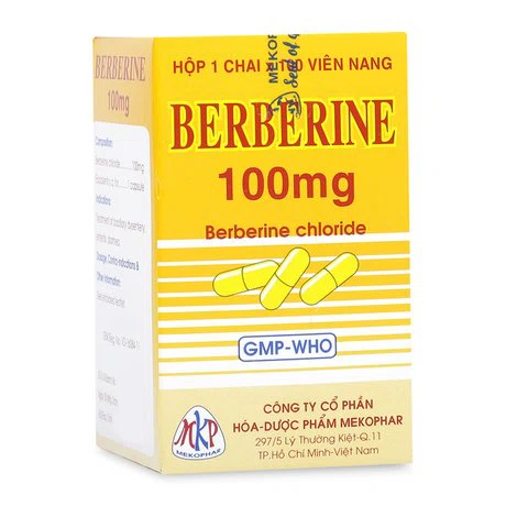 Berberin 100mg Mekophar (100vien)