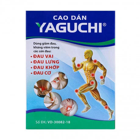 Yaguchi Thiên Ân (20goi x 5mieng)