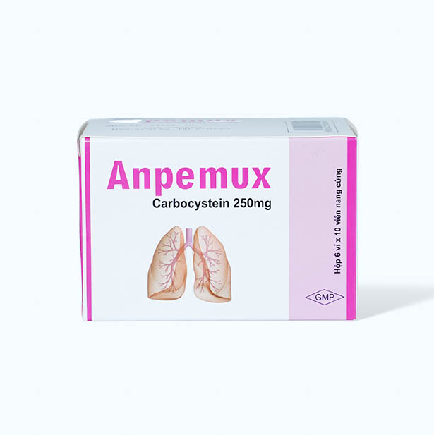 Anpemux 250mg (Hop 6 vi x 10 vien)