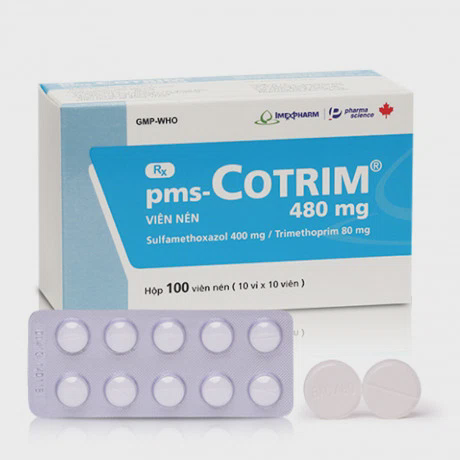 Cotrim 480mg (10vi x10vien)