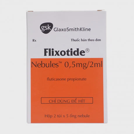 Flixotide Nebules 0.5mg/2ml (Hộp 2 túi x 5 ống)