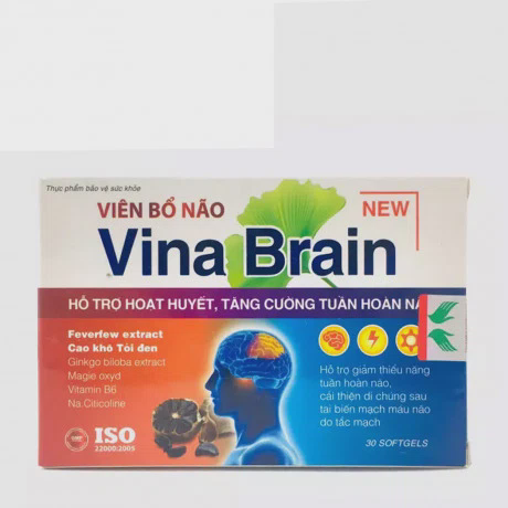 Vina Brain H.Tro Nao ( Hop 80 Vien )