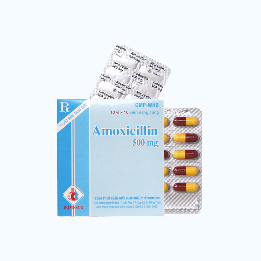 Amoxicillin 500mg - Domesco (10Vi x 10Vien)