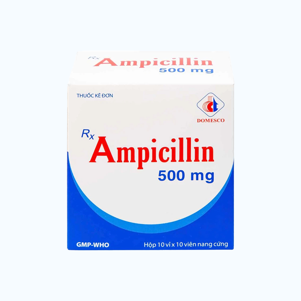 Ampicilin 500mg - Domesco (10vi x 10vien)