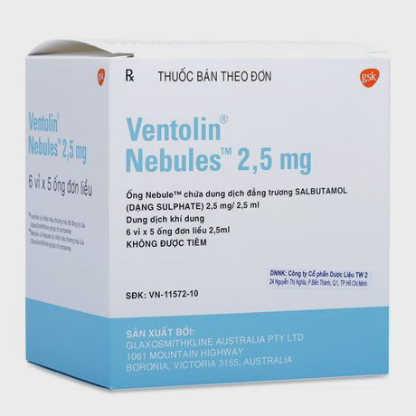 Ventolin Nebules Sol 2.5mg/2.5ml (6 Vi x 5 Ong)