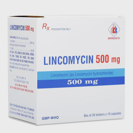 Lincomycin 500mg - Domesco (20vix10vien)