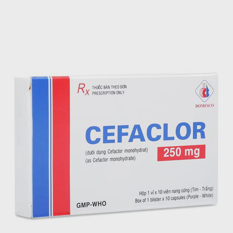 Viên nang Cefaclor 250mg Domesco kháng sinh điều trị nhiễm khuẩn (1 vỉ x 10 viên)