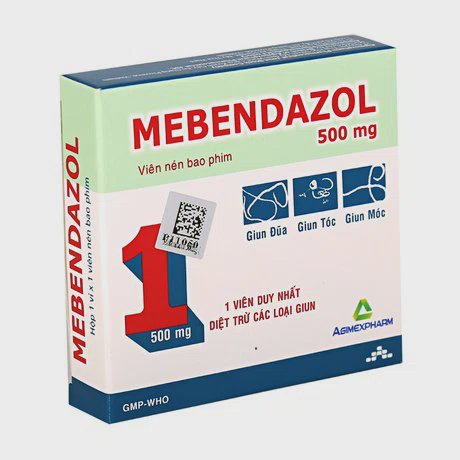 Thuốc điều trị các loại giun đường ruột Mebendazol 500mg (Hộp 1 vỉ x 1 viên)
