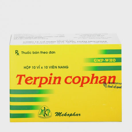 Terpin Cophan 100mg (10 Vi x 10 Vien)