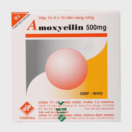Amoxycilin 500mg (10 Vi x 10 Vien)Vidipha