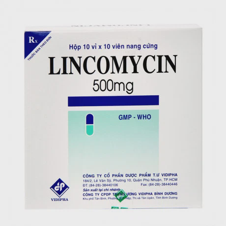 Lincomycin 500mg VDP (10Vi x 10 Vien)