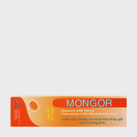 Mongor 1000mg (Tuyp 20Vien)