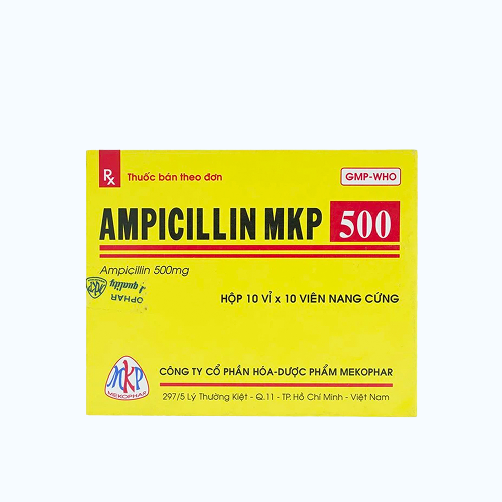 AMPICILLIN CAPS 500MG BOX 100 ( Hop 10 vi x 10 vien)