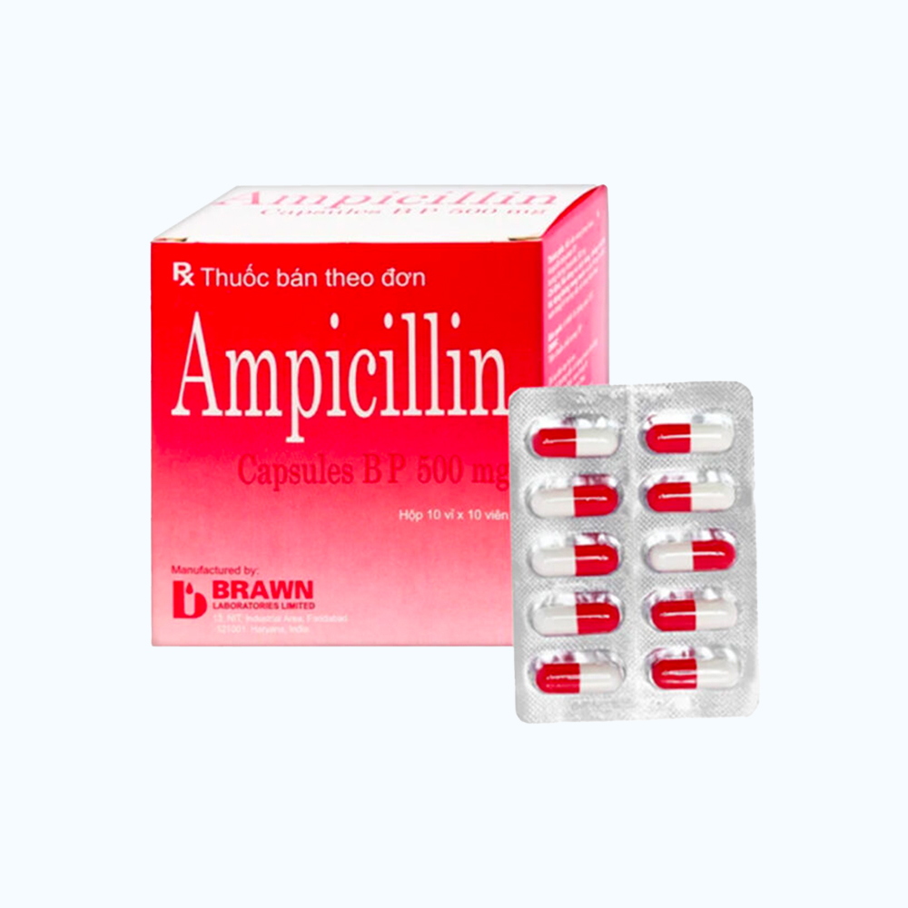 AMPICILLIN 500MG (10vi x 10vien) Brawn