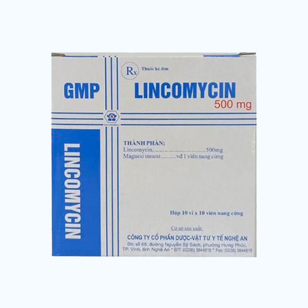 LINCOMYCIN CAPS 500MG (10vi x 10vien)