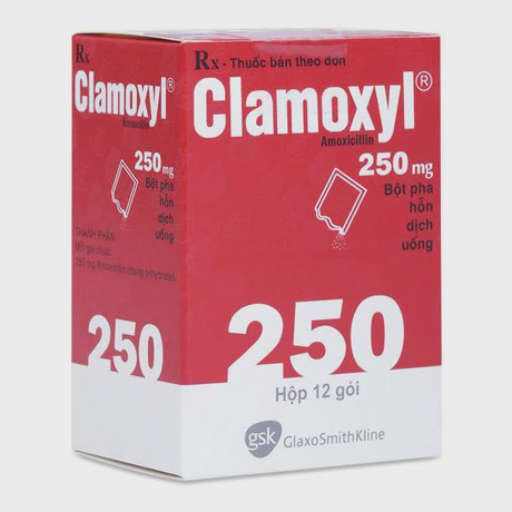 Clamoxyl Sac 250mg (12goi)