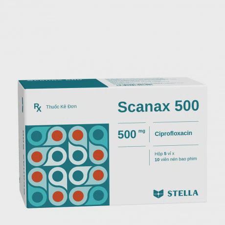 Scanax 500 (5Vi x 10Vien)- normal Stella