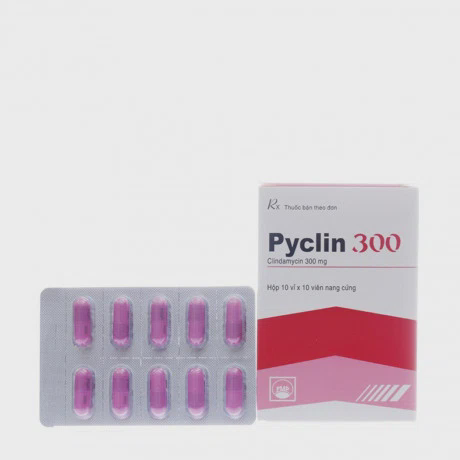 Clindamycin EG 300 (H/100vien) (Pyclin 300mg)