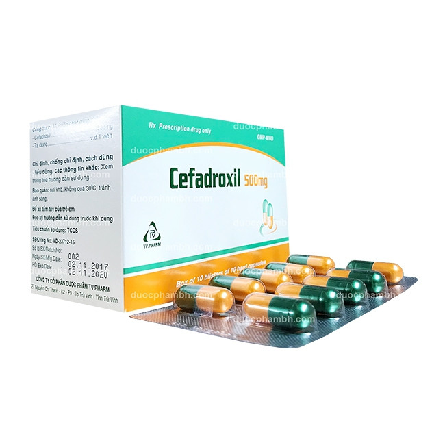 Cefadroxil 500mg  viên nang H10x10v