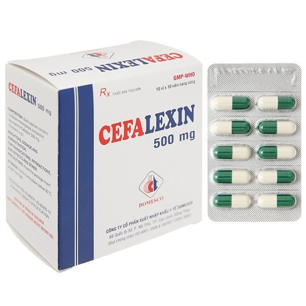 Cefalexin 500mg Domesco (10 vỉ x 10 viên)