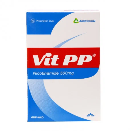 Vit PP 500mg (10Vi x 10Vien)