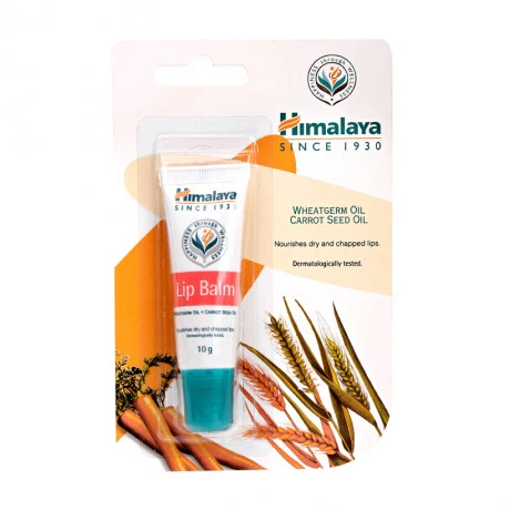 Son dưỡng môi chiết xuất mầm lúa mạch và dầu hạt cà rốt Himalaya (10g)