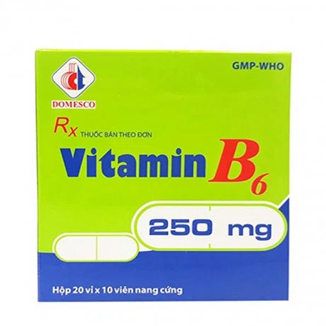 Viên nang Vitamin B6 250mg Domesco trị thiếu hụt B6, thiếu máu (20 vỉ x 10 viên)