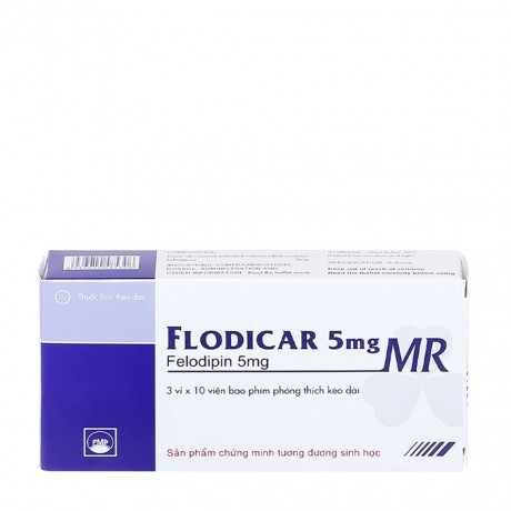 Flodicar MR 5mg (3Vi x 10Vien)