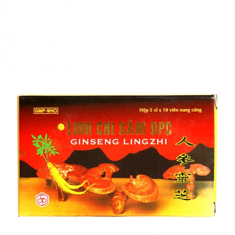 Viên nang Linh Chi Sam bổ khí, dưỡng huyết, dưỡng tâm an thần, hạ cholesterol máu (5 vỉ x 10 viên)