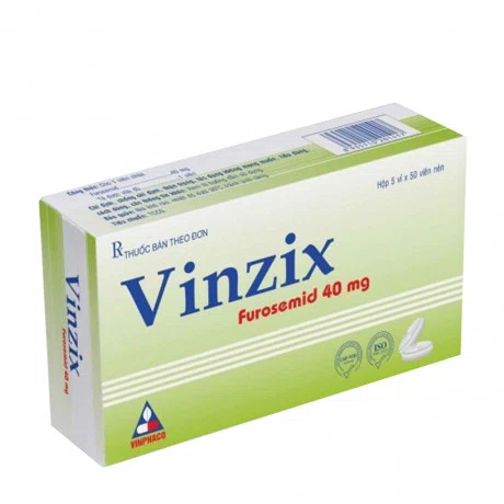 Vinzix 40mg Vinphaco (5vi x 50vien)