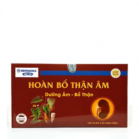 Viên hoàn cứng Hoàn Bổ Thận Âm Hải Dương các trường hợp gầy yếu,mệt mỏi, nóng khát nước (hộp 30 gói)