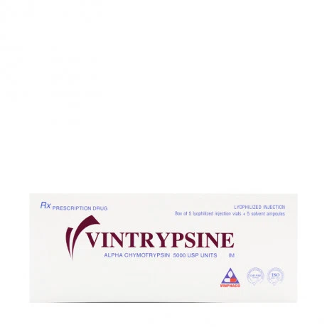 Vintrypsine Vinh Phuc (5lo + 5ong)  Inj