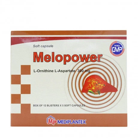 Melopower 300mg (12vi x5vien)