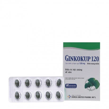 Ginkokup 120mg Tang Cuong Tuan Hoan Nao (Hop 60 vien)
