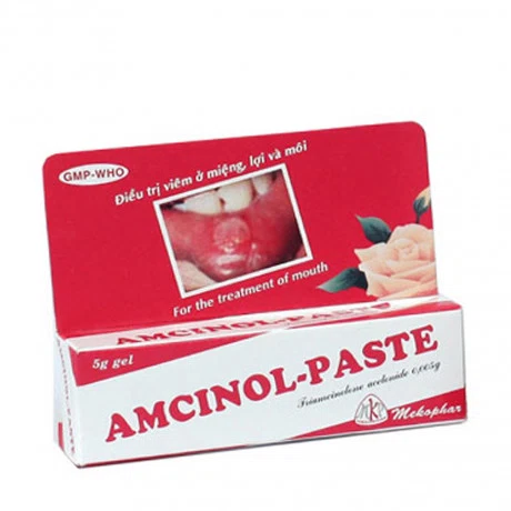 Amcinol-Paste Gel EXT&T/OR % 5g (1Tuýp)