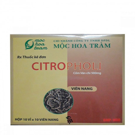 CITROPHOLI 500mg ( 10 vi x 10 vien)