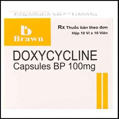 Viên nang Cephalexin 500mg(S)